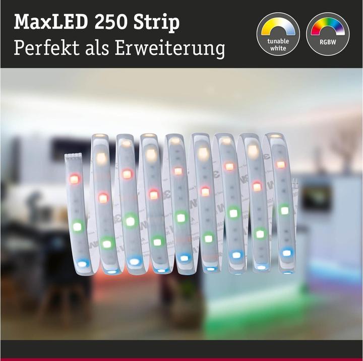 Immagine prodotto Paulmann MaxLED (Multicolore, 250 cm, Interno)