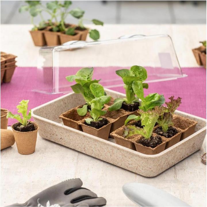 Actual product image Windhager Cultivation tray