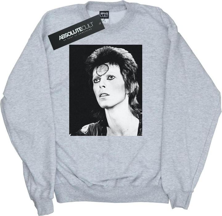 Actual product image David Bowie Womens/Ladies Ziggy Looking Sweatshirt (M)