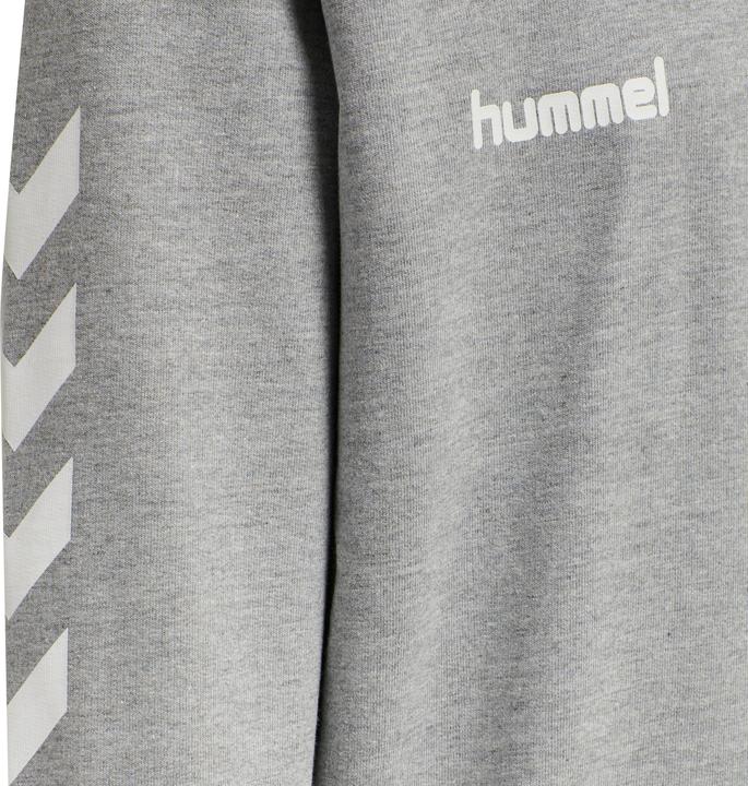 Image du produit hummel Go Kids Hoodie En Coton (176)