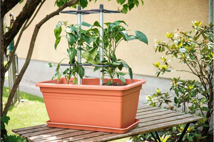 Actual product image Gusta Garden CHILI BUDDY climbing support for chillies & peppers silver (32 cm, 22 cm)