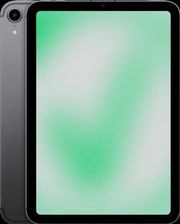 Immagine prodotto Revendo iPad mini 6a generazione (2021) (5G, 8.30", 256 GB, Space grey, C / Buono)