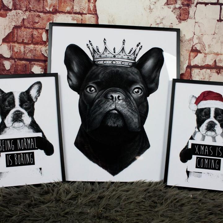 Produktbild Trenddeko King French Bulldog (40 x 50 cm)