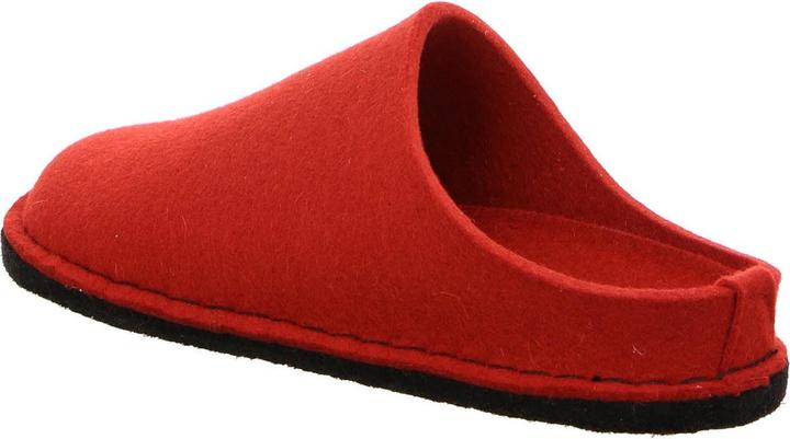 Immagine prodotto Haflinger Pantofola 311010-11 (40)