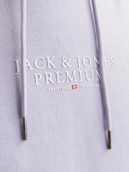 Actual product image Jack & Jones Logo hooded jumper Hooded jumper (XS)