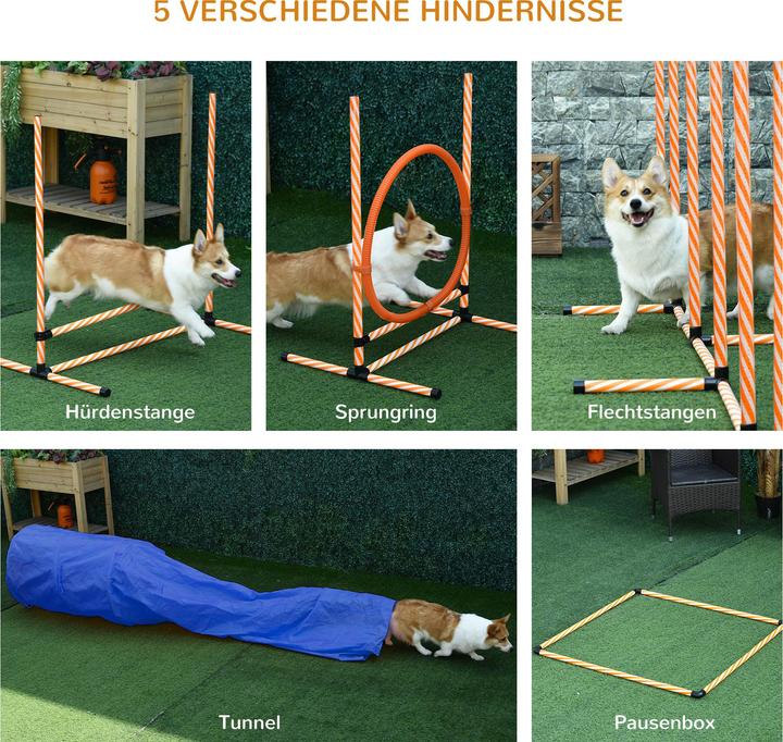 Actual product image PawHut Set (Agility)