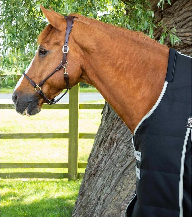 Produktbild Premier Equine Lucanta 100 g (191 cm)