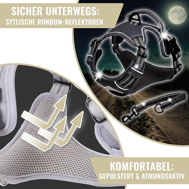 Actual product image Ne&no Hundegeschirr mit Ruckdämpfer (XL, Dog)
