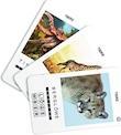 Produktbild 100 Pics PICS Tiere (Deutsch)
