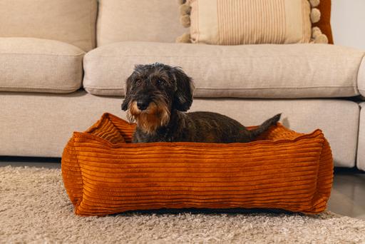 Image du produit Designed by Lotte Ribbed (Chien)
