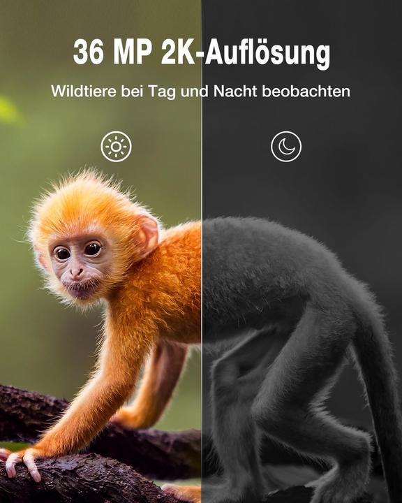 Actual product image Wolfang Wildkamera