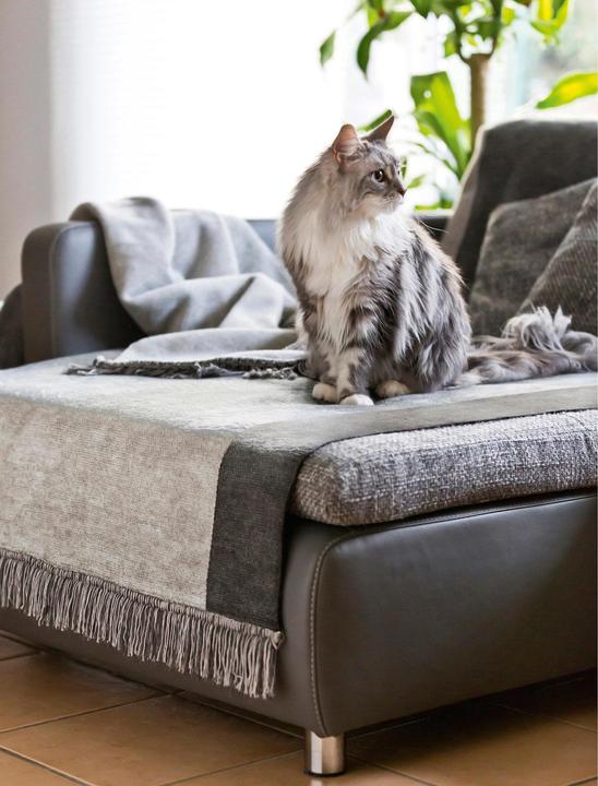 Actual product image Biederlack Cover Cotton" armchair and sofa cover (100x200 cm)