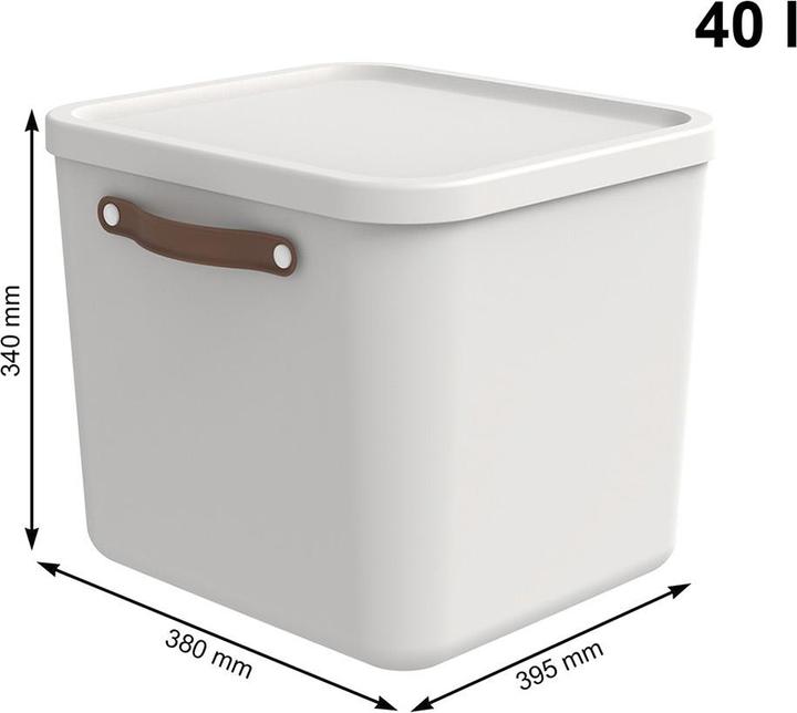 Image du produit Rotho Lot de 2 boîtes de rangement 20 l et 40 l MALOJA (40 l)