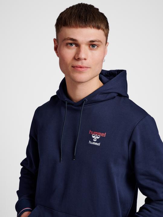 Actual product image hummel Ic Dayton Hoodie (S)