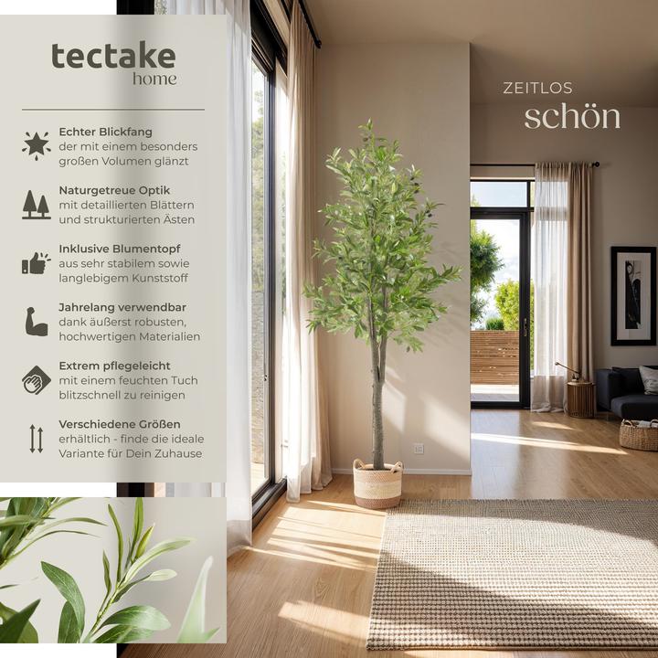 Produktbild tectake Olivenbaum Oleand (180 cm)