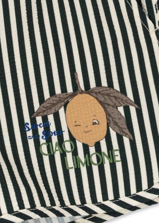 Produktbild Konges Slojd Asnou Badeshorts Scarab (104)