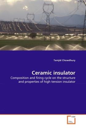 Image du produit Ceramic insulator (Tamjid Chowdhury, 2010)