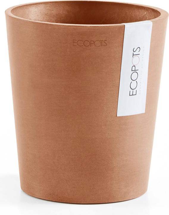 Immagine prodotto Ecopots Morinda