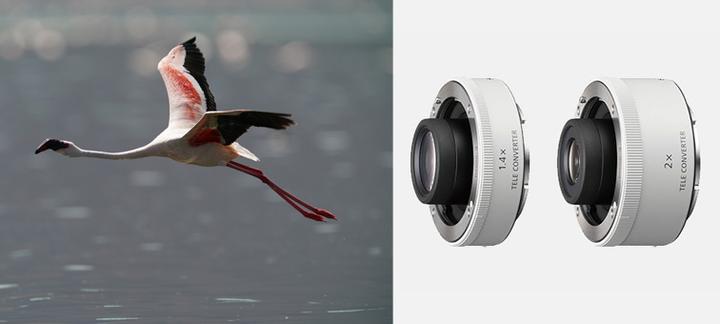 Immagine prodotto Sony 600mm f/4 GM OSS E - Import (Sony E, APS-C / DX, Full-frame)