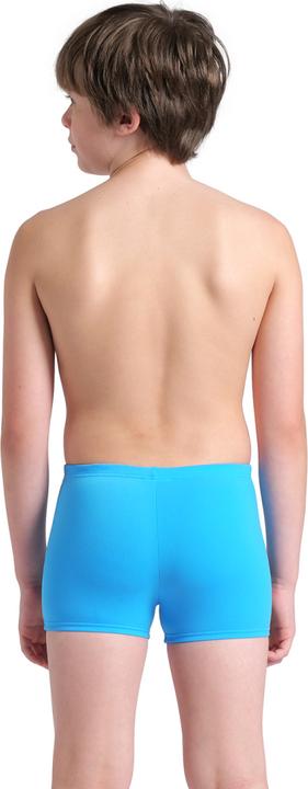 Produktbild Arena B Losange Graphic Swim Short (164)
