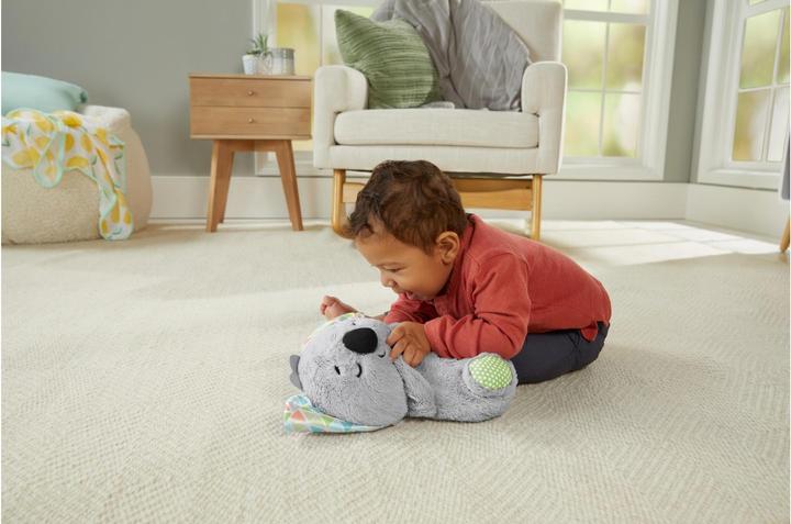 Image du produit Fisher-Price Slumber Koala