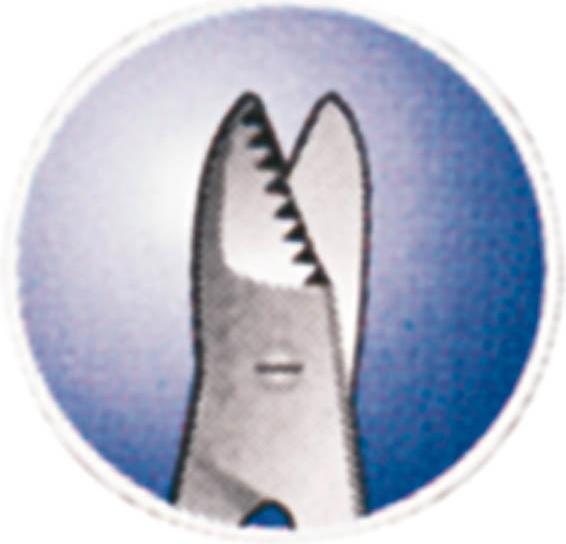 Actual product image Toenail scissors, 10.5 cm, extra strong, rustproof