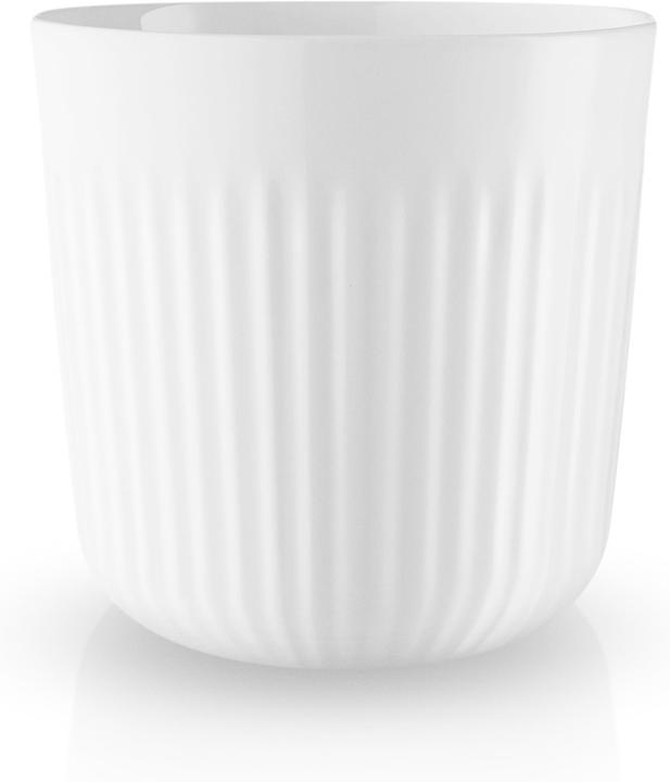 Legio Nova (250 ml, 1 x)