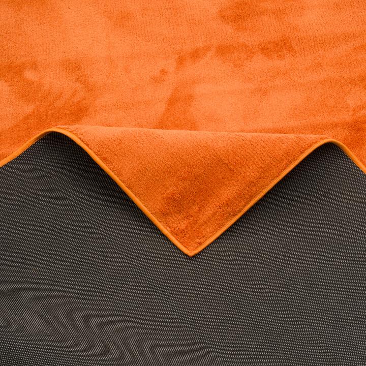 Produktbild Pergamon Super Soft Hochflor Langflor Teppich Melia Kids (120 x 170 cm)