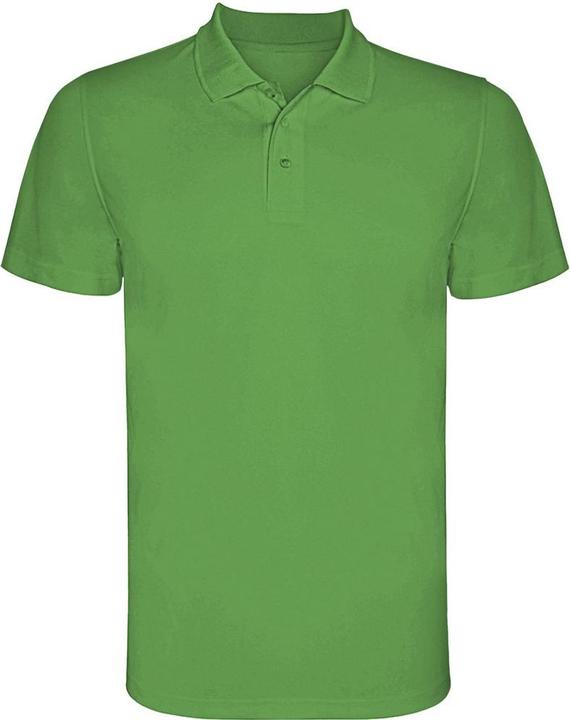Verde felce