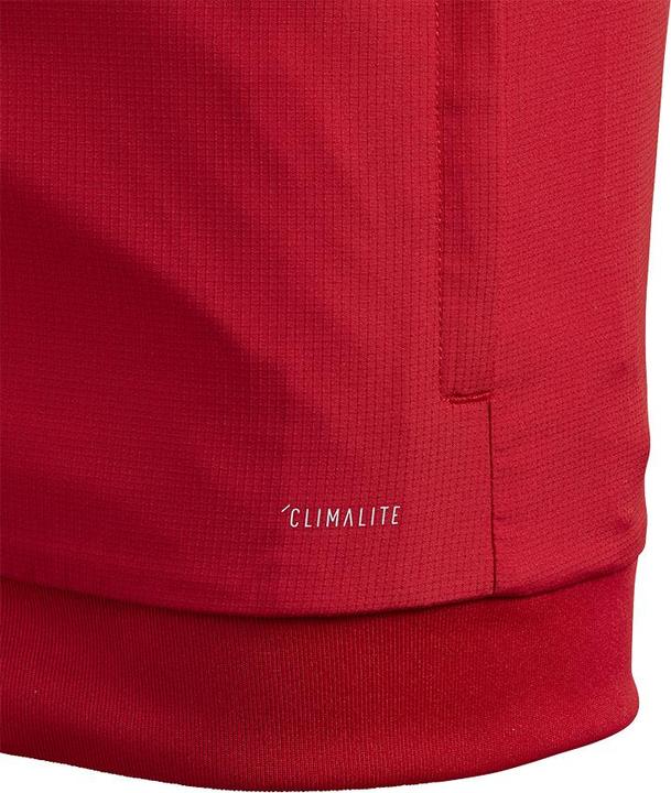 Image du produit adidas Veste de présentation Tiro 19 Kids (176)