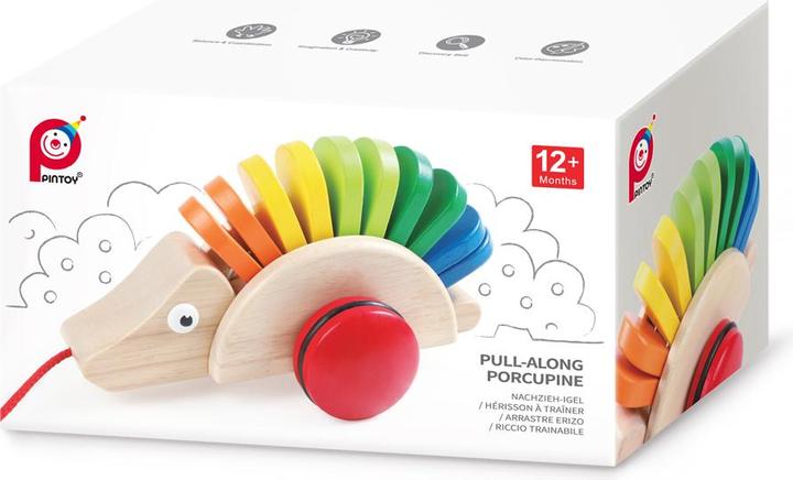 Actual product image Pintoy Pull-along hedgehog