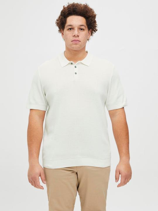 Actual product image Jack & Jones Plus Size Poloshirt Poloshirt (6XL)