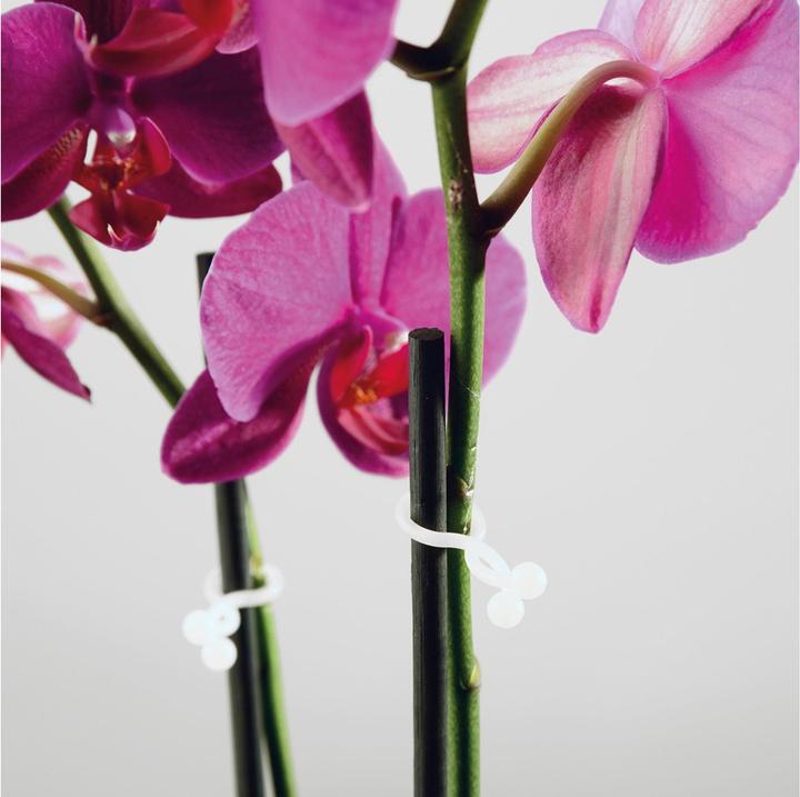 Actual product image Steffen Cable Tie D-Line Tidy White (Plastic cable ties, 15 mm, 20 pcs.)