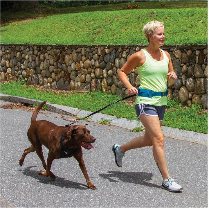 Actual product image Sportdog RSG Sports/Equipment Belt (One size, Dog, Dog sport, General, Pushbike, Jogging)