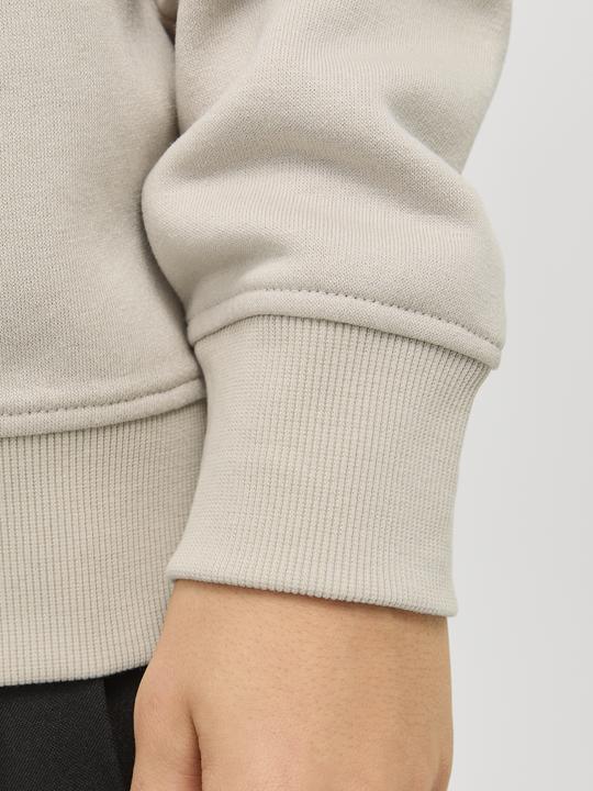 Produktbild Jack & Jones Jjebradley Sweat Half Zip Noos Jnr (128)