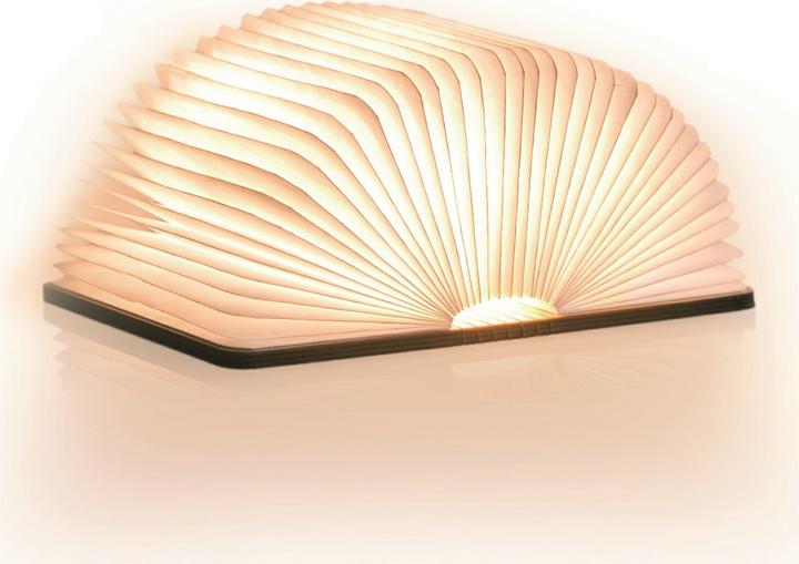 Produktbild Gingko Smart Book