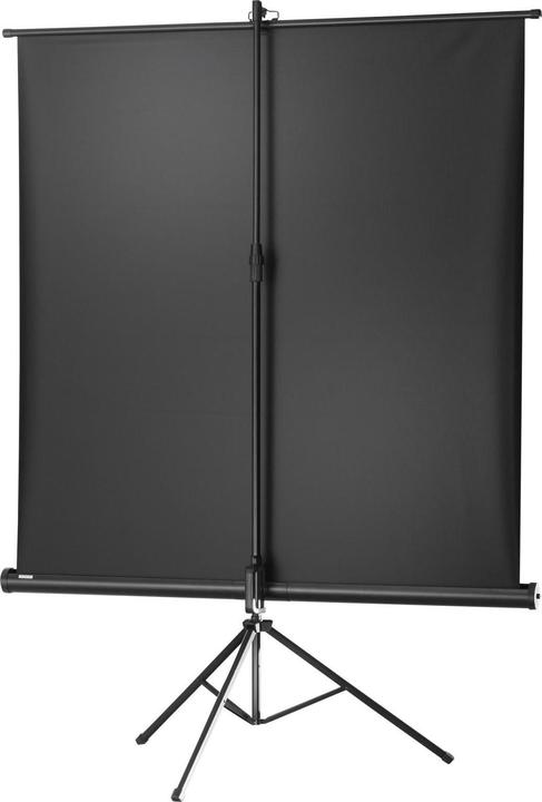 Actual product image Celexon Economy (86", 4:3)