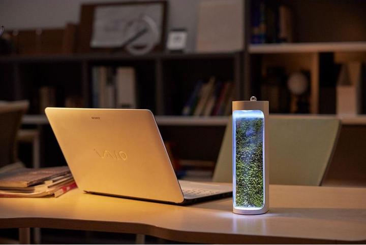 Produktbild Mosslab Air Humidifier Moss weiss