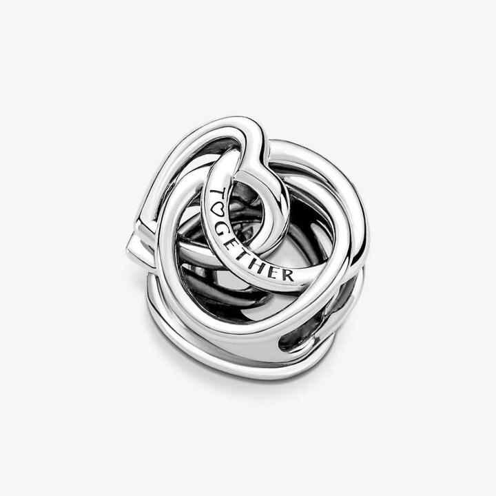 Image du produit Pandora Charm Famille pour toujours (Argent sterling 925)