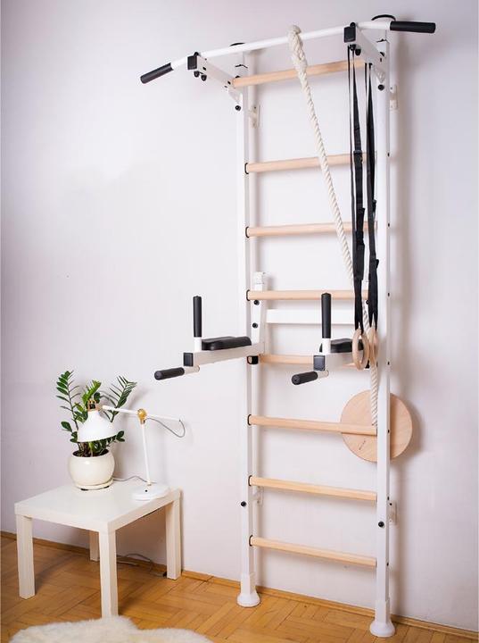 Actual product image BenchK Wall bars 522W with pull-up bar, dip bar, rope & rings