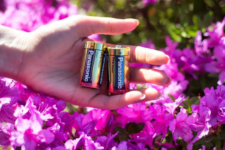 Image du produit Panasonic Pro Power (2 pcs, C, 9360 mAh)