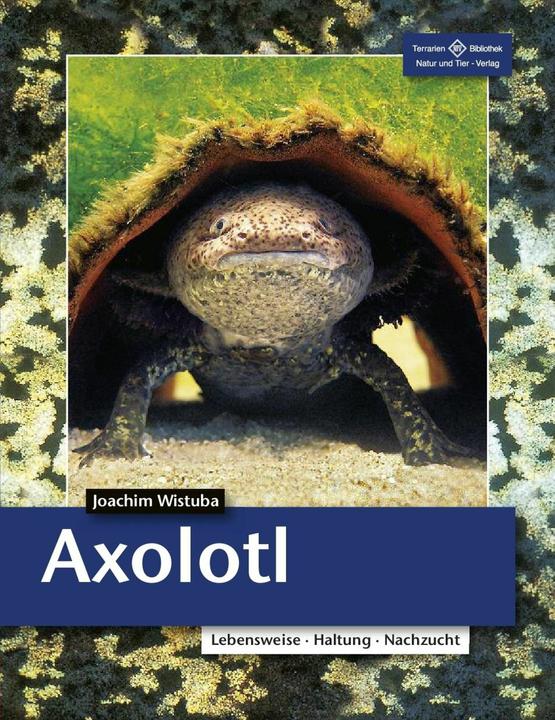 Actual product image Axolotl (German, Joachim Wistuba, 2022)