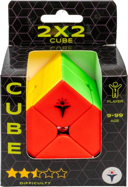 Actual product image Recent Toys Cube Economy (2 x 2)