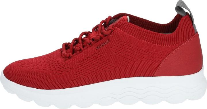 Actual product image Geox Sneaker (41)