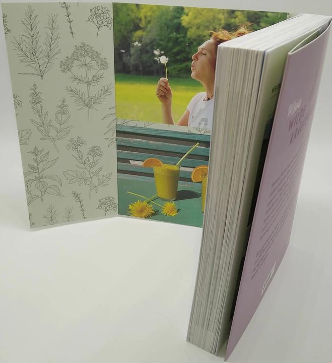 Actual product image Meine Wildkräuter (German, Martina Fischer, Dorothea Steinbacher, 2023)