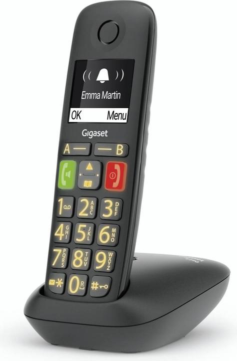 Actual product image Gigaset E290 Duo (DE-Version)