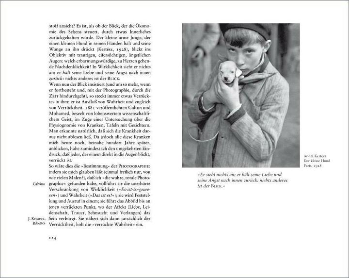 Actual product image Die helle Kammer (German, Roland Barthes, 2009)