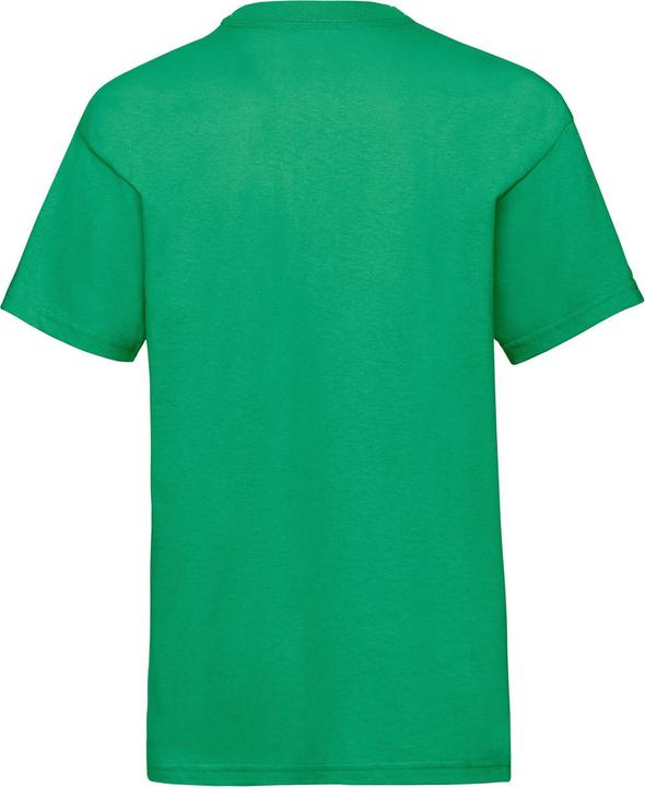 Actual product image Fruit of the Loom Childrens/Kids Value T-Shirt (164, 170)