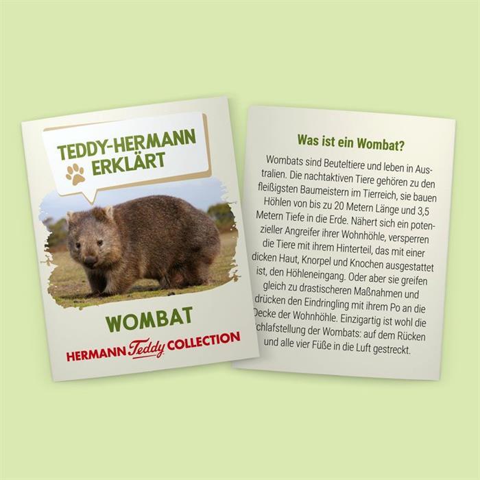 Image du produit Teddy Hermann Wombat 26 cm (16 cm)