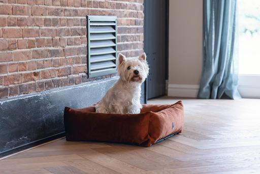 Produktbild Designed by Lotte Yndis (Hund)